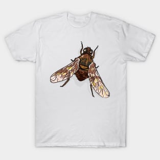 Bugs-11 Brown Fly T-Shirt